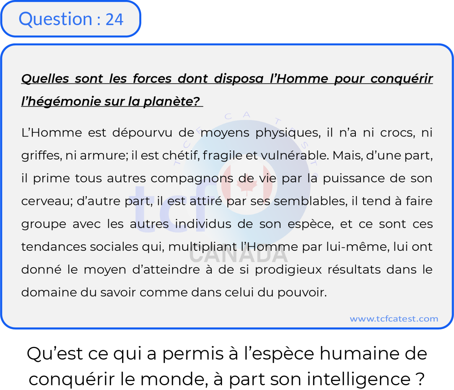 Question 24